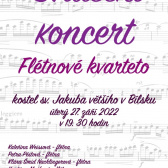 Sváteční koncert 1